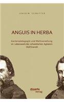 Anguis in herba