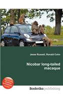 Nicobar Long-Tailed Macaque