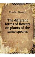 The Different Forms of Flowers on Plants of the Same Species