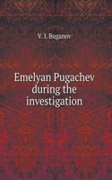 Emelyan Pugachev during the investigation