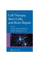 Cell Therapy, Stem Cells and Brain Repair