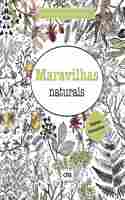 Livro de Colorir Antiestresse Maravilhas Naturais