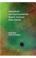 Hydrophobic and Superhydrophobic Organic‐Inorganic Nano‐Hybrids