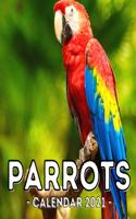 Parrots Calendar 2021: 16-Month Calendar, Cute Gift Idea For Birds Lovers Women & Men