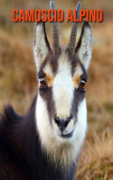 Camoscio alpino: Foto stupende e fatti divertenti Libro sui Pesci Camoscio alpino per bambini