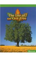 Science Leveled Readers: Above-Level Reader Grade 5 Life of an Oak Tree