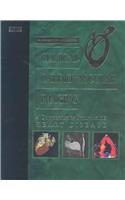 Clinical Cardiovascular Imaging