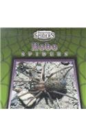 Hobo Spiders