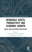 Intangible Assets, Productivity and Economic Growth