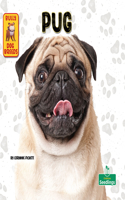 Pug: (Bully Dog Breeds)