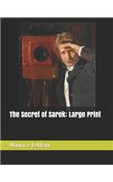 The Secret of Sarek: Large Print