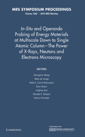 In-Situ and Operando Probing of Energy Materials at Multiscale Down to Single Atomic Column - The Power of X-Rays, Neutrons and Electron Microscopy: Volume 1262