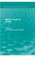Black Youth in Crisis
