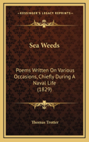 Sea Weeds