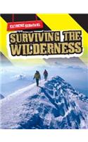 Surviving in the Wilderness