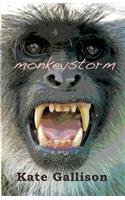 Monkeystorm