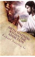 METH Madness Within The Addiction: (English)