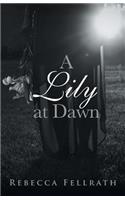 A Lily at Dawn
