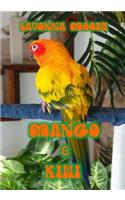 Mango & Kiwi