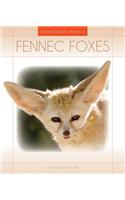 Fennec Foxes