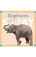 Elephants Spray