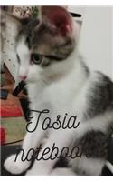 Tosia notebook: Password notes: Series with cats(2 Cats)