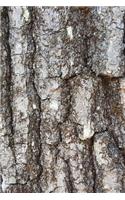 2020 Weekly Planner Oak Tree Bark Photo 134 Pages: 2020 Planners Calendars Organizers Datebooks Appointment Books Agendas