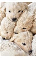Cuddling Puppies Journal