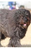 Fluffy Bouvier des Flandres Dog Journal: Take Notes, Write Down Memories in this 150 Page Lined Journal