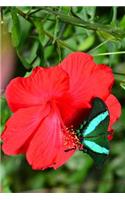 Pretty Green Emerald Swallowtail Butterfly on a Red Hibiscus Flower Journal