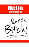 Hello My Name Is Queen Bitch!: Funny Phrase Discreet Internet Website Password Organizer Book