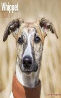 Whippet Calendar 2020