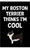 My Boston Terrier Thinks I'm Cool
