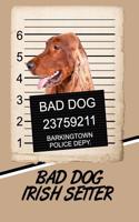 Bad Dog Irish Setter: Handwriting Practice Paper for Kids Notebook with Dotted Lined Sheets for K-3 Students Featuring 120 Pages 6x9