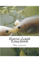 Giant-Sized Notebook: Giant-Sized Notebook/Journal with 500 Lined & Numbered Pages: Kissing Gouramis Composition Notebook (8.5 x 11/250 Sheets)