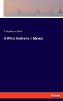 White Umbrella in Mexico