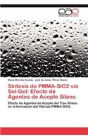 Sintesis de Pmma-Sio2 Via Sol-Gel