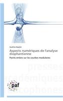 Aspects Numériques de l'Analyse Diophantienne