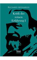 Kritik der reinen Erfahrung I