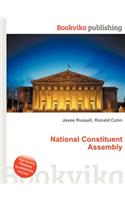 National Constituent Assembly