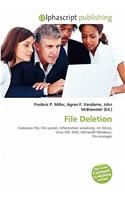 File Deletion