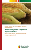 Milho transgênico irrigado na região do Cariri