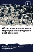 &#1054;&#1073;&#1079;&#1086;&#1088; &#1084;&#1077;&#1090;&#1086;&#1076;&#1086;&#1074; &#1074;&#1086;&#1076;&#1103;&#1085;&#1086;&#1075;&#1086; &#1084;&#1072;&#1088;&#1082;&#1080;&#1088;&#1086;&#1074;&#1072;&#1085;&#1080;&#1103; &#1094;&#1080;&#1092