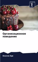 &#1054;&#1088;&#1075;&#1072;&#1085;&#1080;&#1079;&#1072;&#1094;&#1080;&#1086;&#1085;&#1085;&#1086;&#1077; &#1087;&#1086;&#1074;&#1077;&#1076;&#1077;&#1085;&#1080;&#1077;