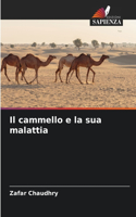cammello e la sua malattia