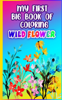 My First Big Book of Coloring Wild Flower