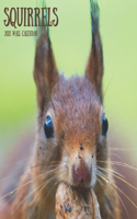Squirrels 2021 Wall Calendar: World wildlife calendar