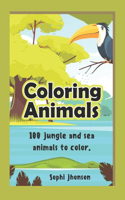 Coloring Animals