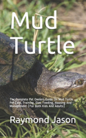 Mud Turtle