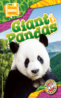 Giant Pandas: (The Ultimate Animal Library)